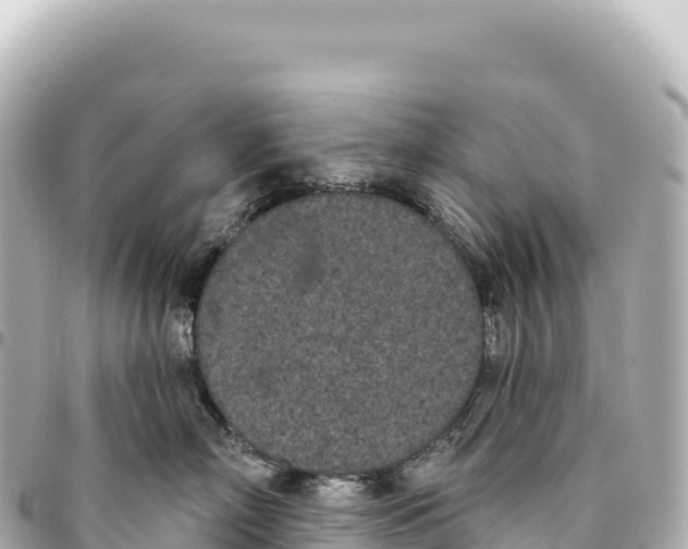 X0000093360718200711081514