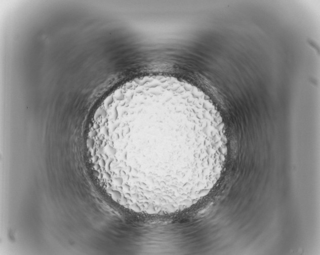 X0000093360721200711081514