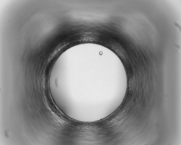 X0000093360722200711081514