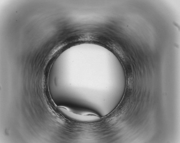 X0000093360724200711081514