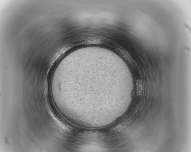 X0000093360726200711081514