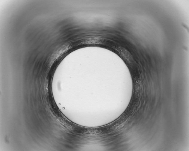 X0000093360727200711081514