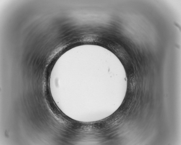 X0000093360728200711081514