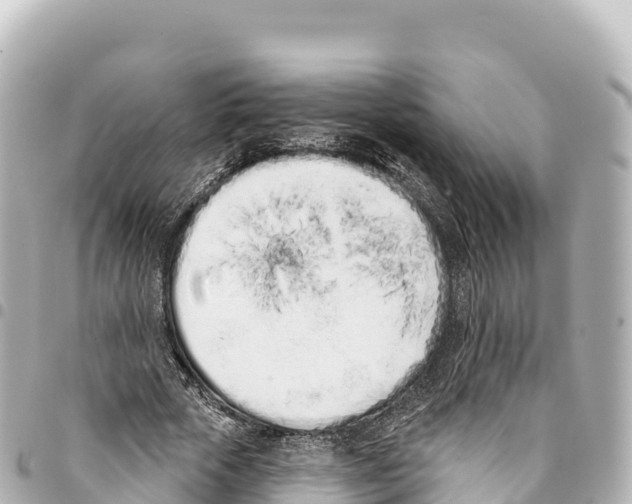 X0000093360729200711081514