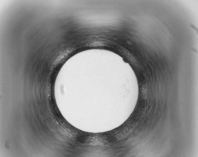 X0000093360732200711081514