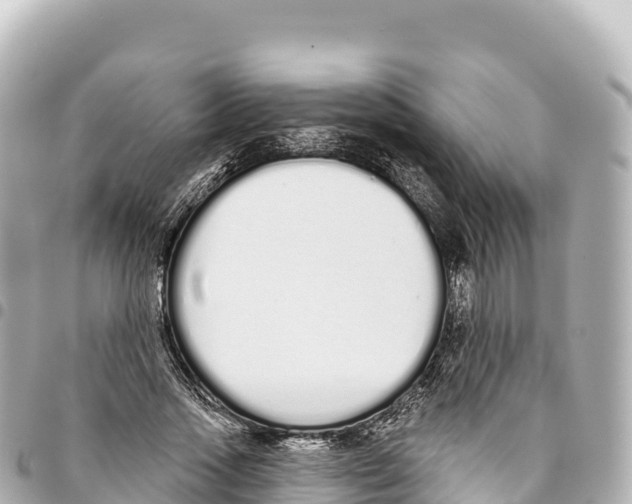 X0000093360733200711081514