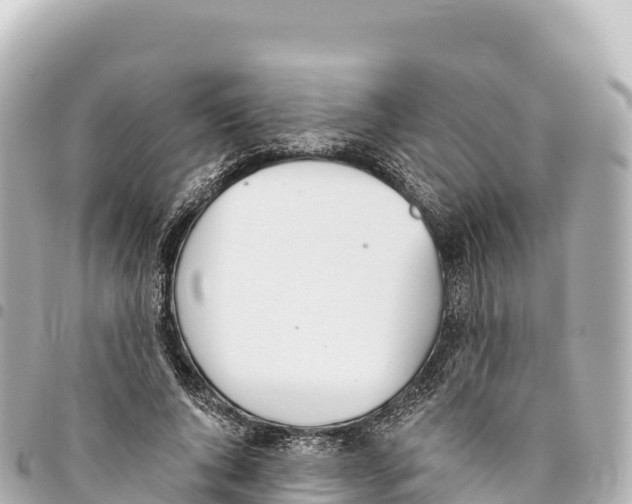 X0000093360736200711081514