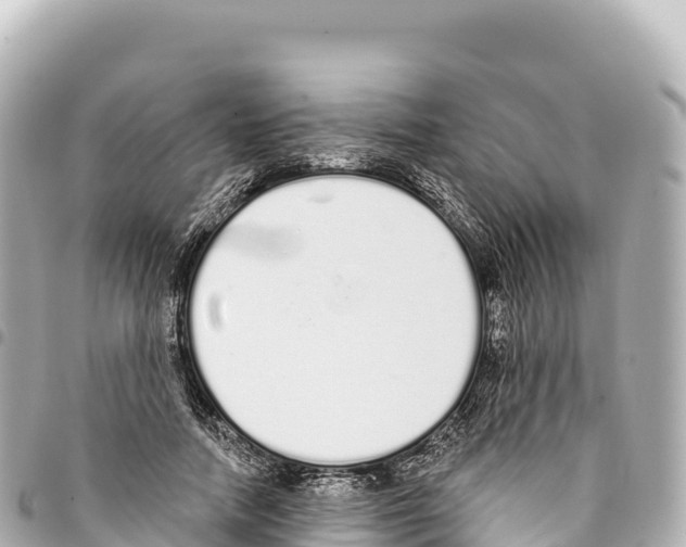X0000093360738200711081514