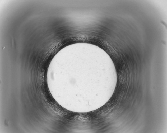X0000093360739200711081514