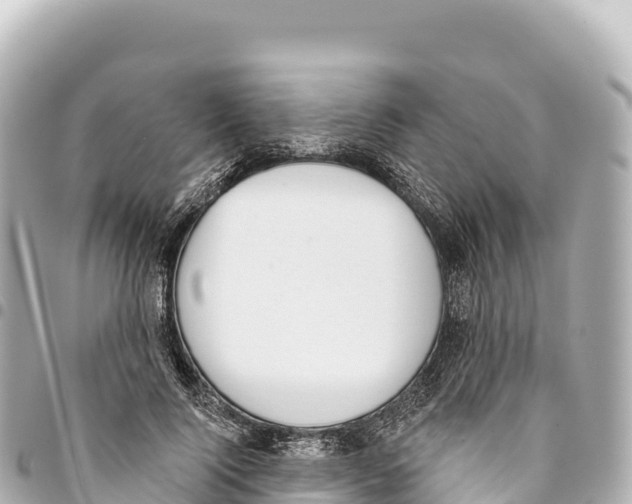 X0000093360740200711081514