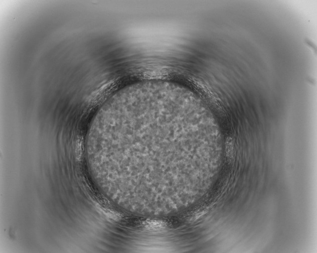 X0000093360741200711081514