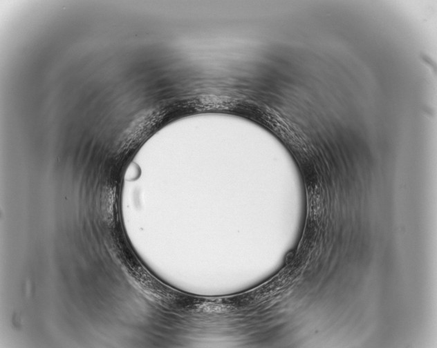 X0000093360742200711081514