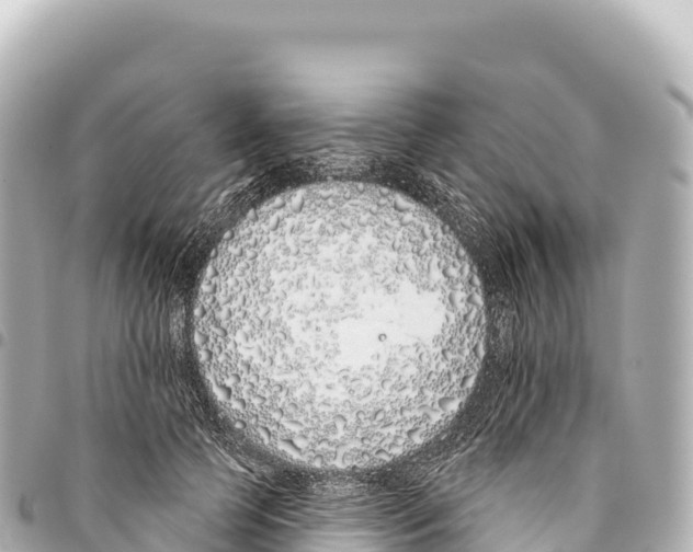 X0000093360745200711081514