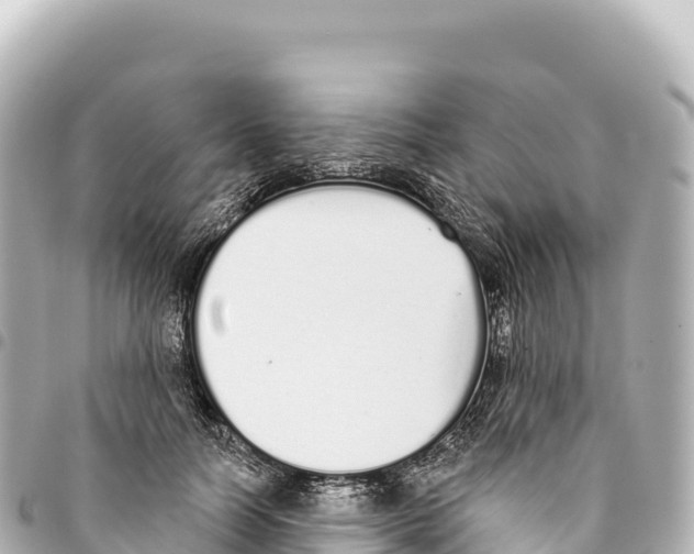 X0000093360746200711081514