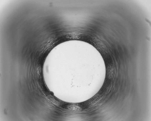 X0000093360747200711081514