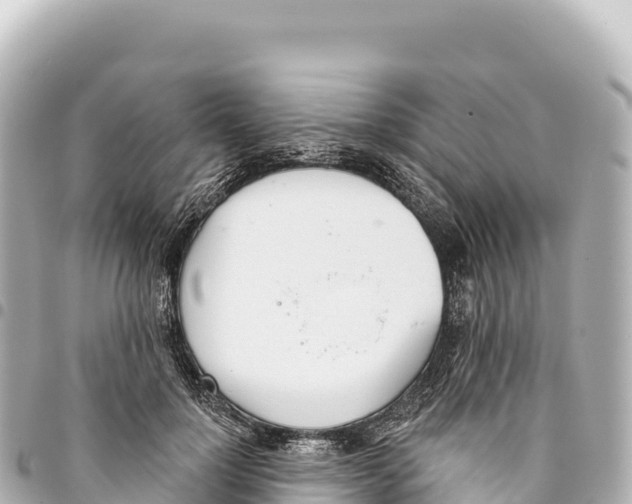 X0000093360748200711081514