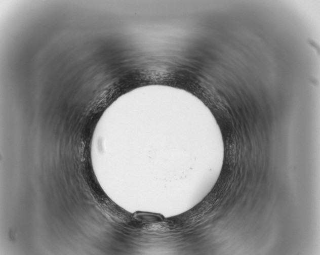 X0000093360750200711081514