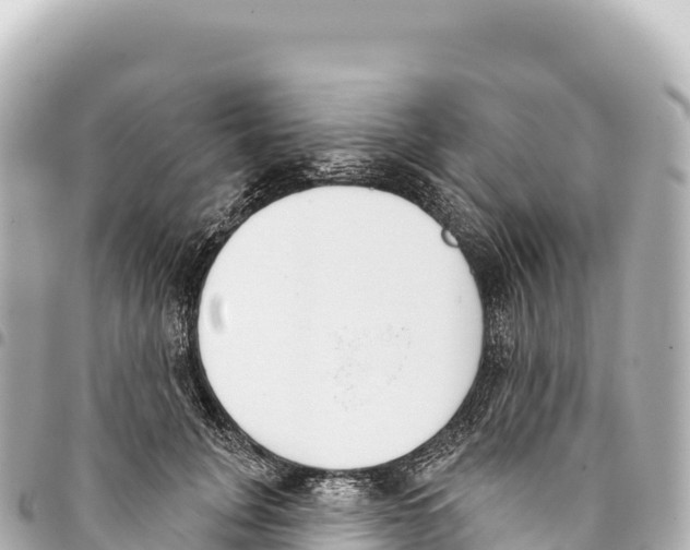 X0000093360751200711081514