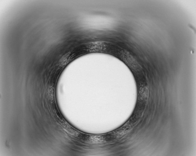 X0000093360753200711081514