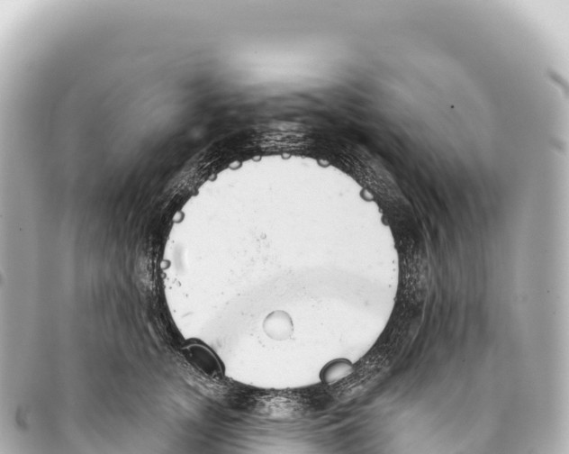 X0000093360755200711081514