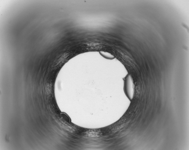 X0000093360756200711081514