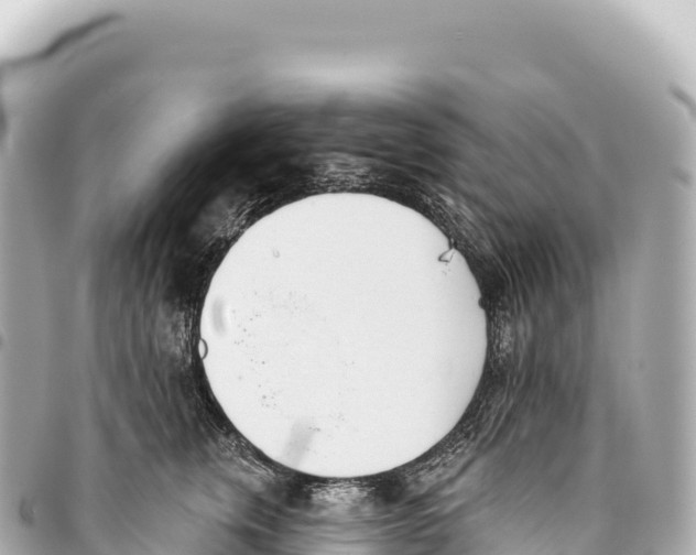 X0000093360759200711081514