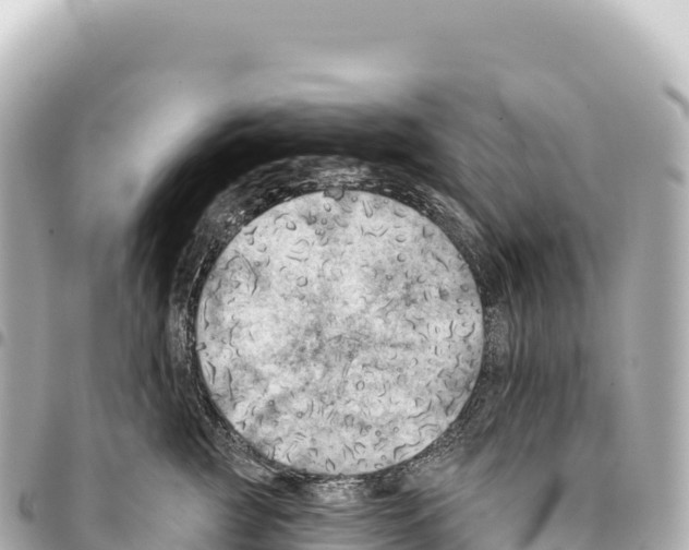X0000093360761200711081514