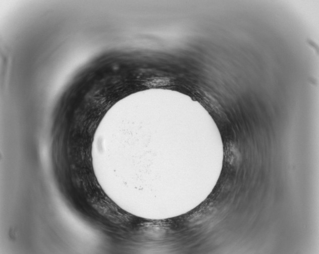 X0000093360763200711081514