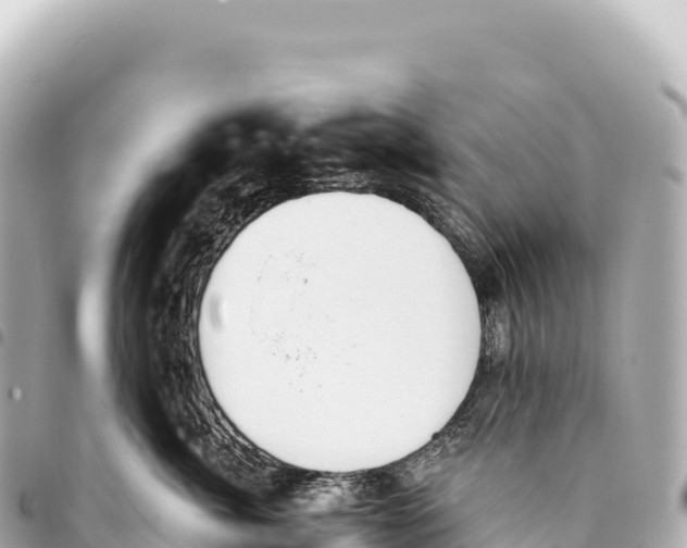 X0000093360764200711081514