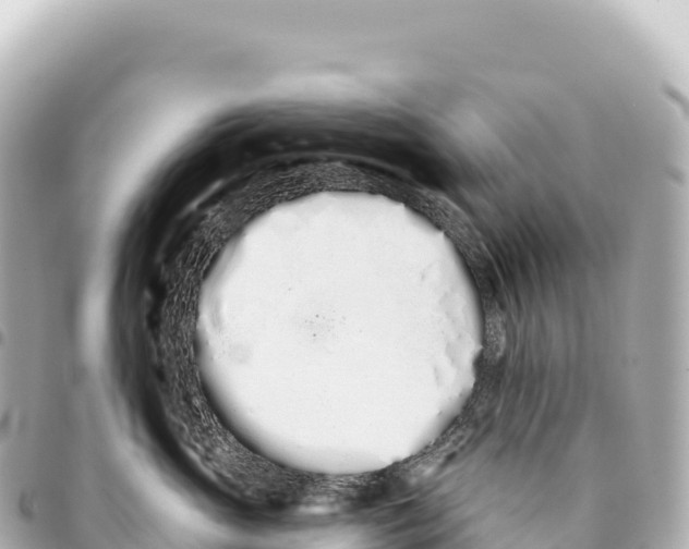 X0000093360765200711081514