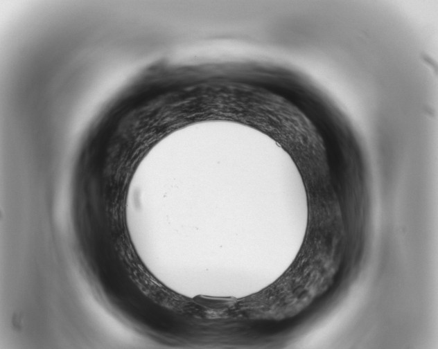 X0000093360766200711081514