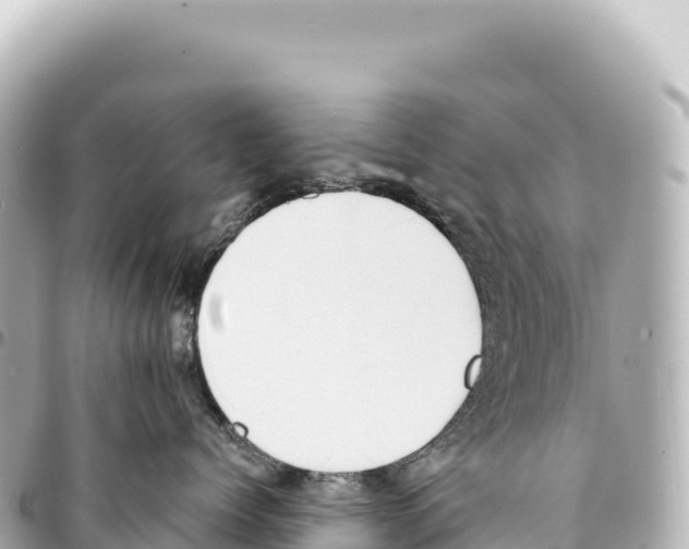 X0000093360768200711081514