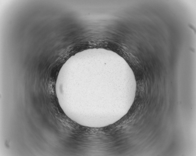 X0000093360770200711081514