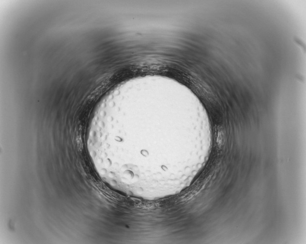 X0000093360771200711081514