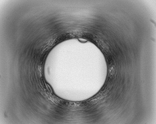 X0000093360772200711081514