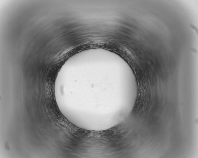 X0000093360773200711081514