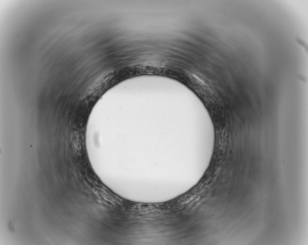 X0000093360774200711081514