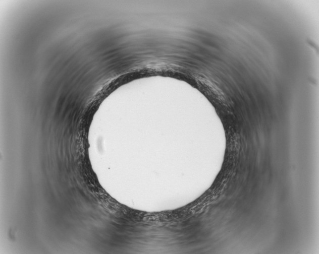 X0000093360776200711081514