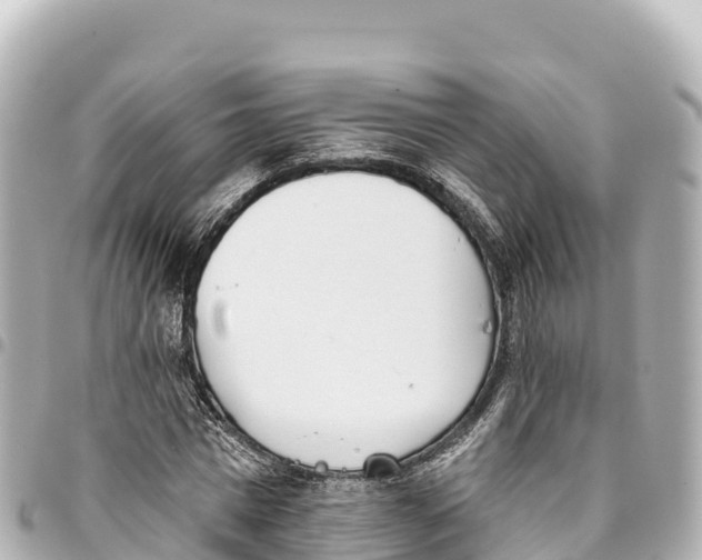 X0000093360777200711081514