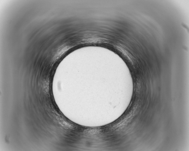 X0000093360778200711081514