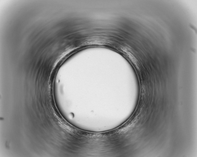 X0000093360779200711081514