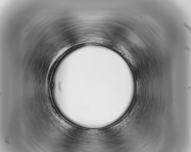 X0000093360780200711081513
