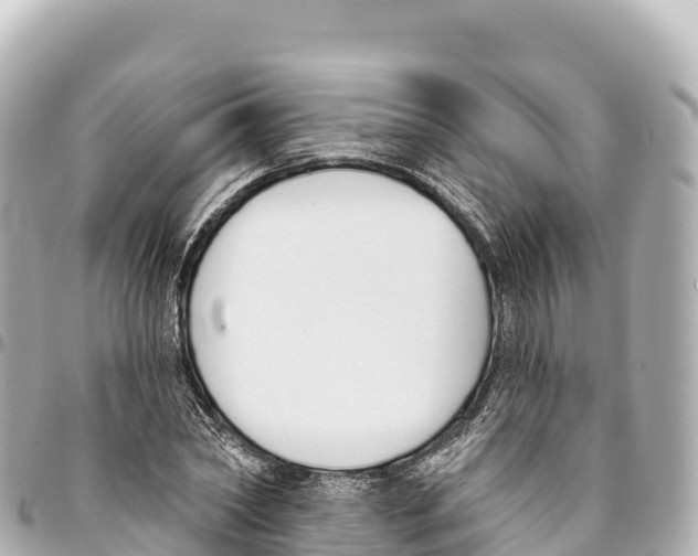 X0000093360782200711081513