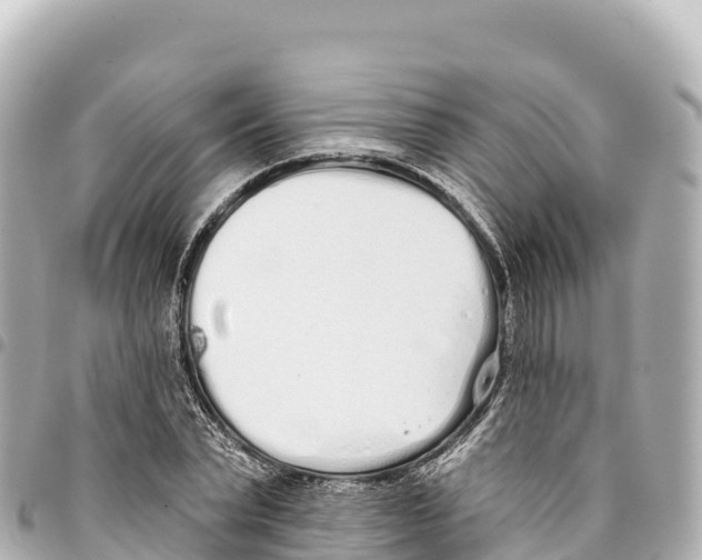 X0000093360783200711081513