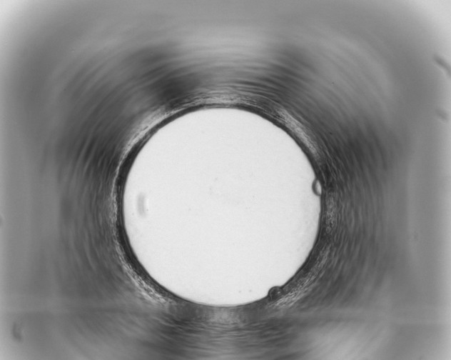 X0000093360787200711081513