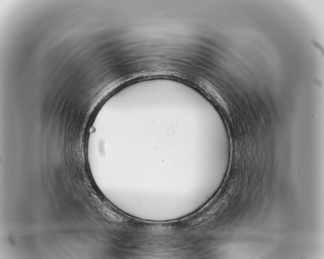 X0000093360789200711081513