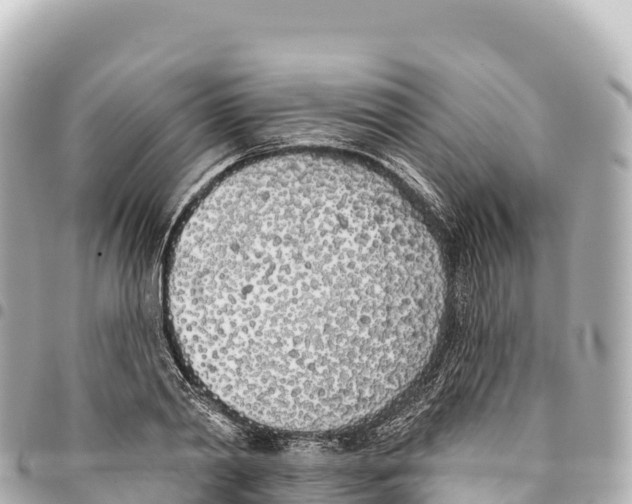 X0000093360790200711081513