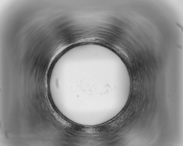 X0000093360792200711081513