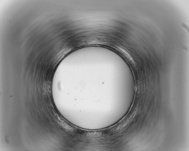 X0000093360793200711081513