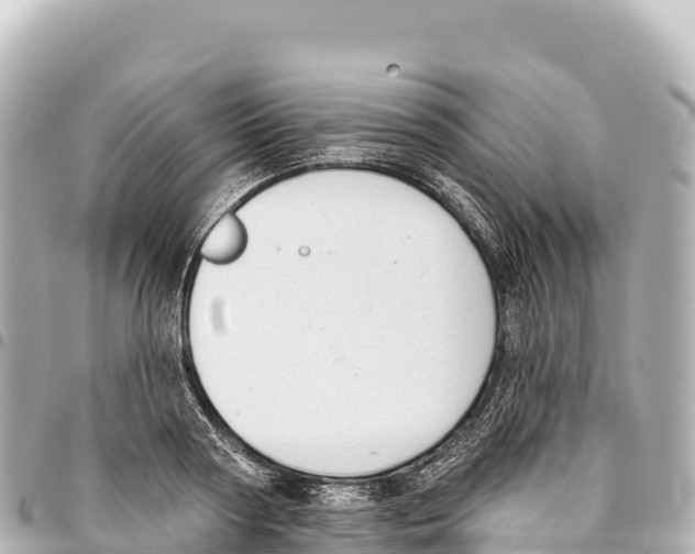 X0000093360794200711081513